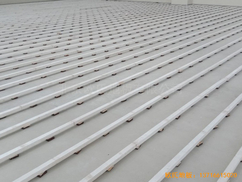 ���ڱ��h�ЌW�\���^�w��ľ�ذ���b����1