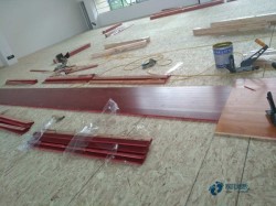 籃球木地板特性