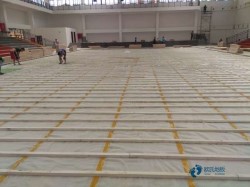 籃球運動木地板電話