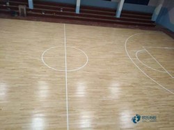 籃球場館木地板哪個牌子較環(huán)保