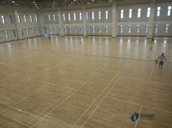 籃球館木地板生產線設備