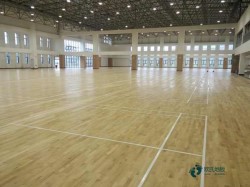 學校籃球場館地板的參數